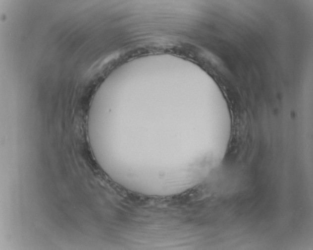 X0000060800773200512082149