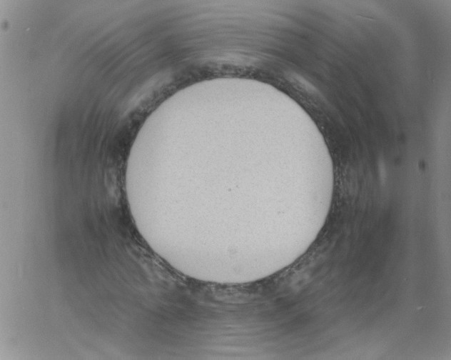 X0000060800774200512082149