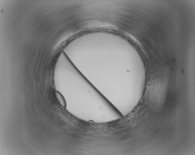 X0000060800775200512082149