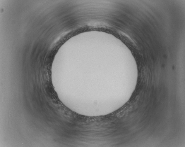 X0000060800776200512082149