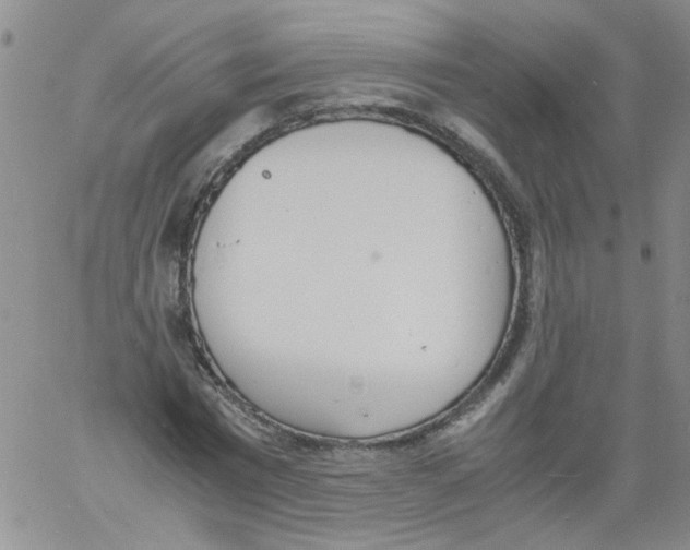 X0000060800777200512082149