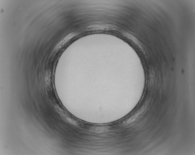 X0000060800778200512082149