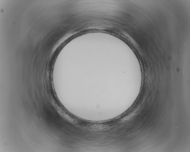 X0000060800779200512082149