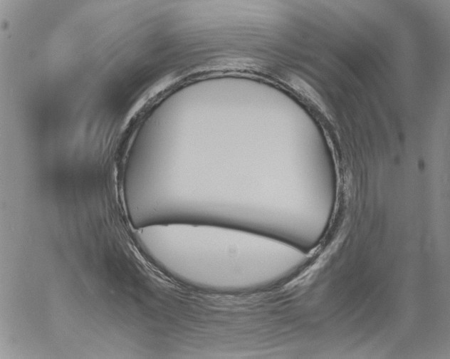 X0000060800781200512082149