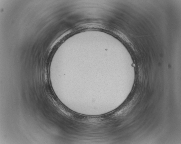 X0000060800782200512082149