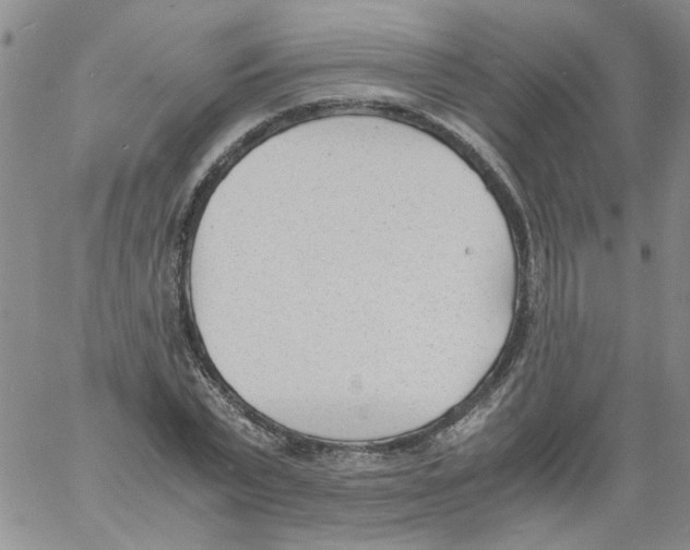 X0000060800783200512082149