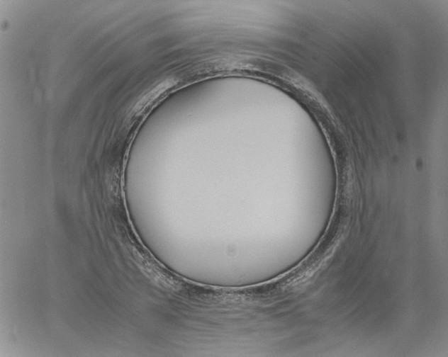 X0000060800785200512082149