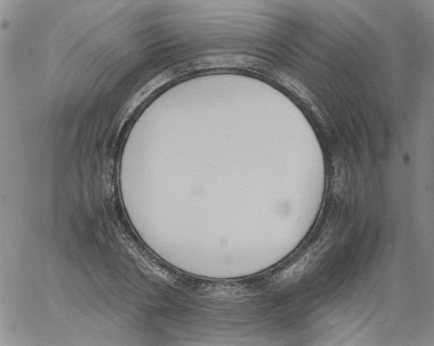 X0000060800786200512082149