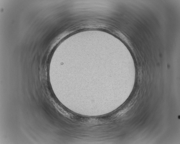 X0000060800787200512082149