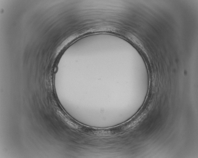 X0000060800789200512082149