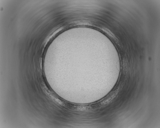 X0000060800790200512082148