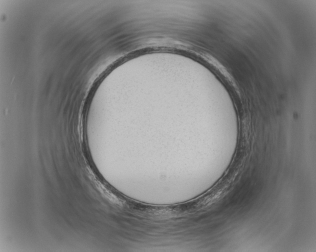 X0000060800791200512082148