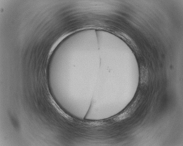 X0000060800796200512082148