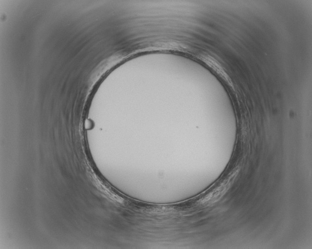 X0000060800797200512082148