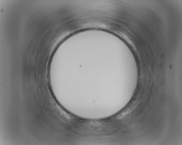 X0000060800799200512082148