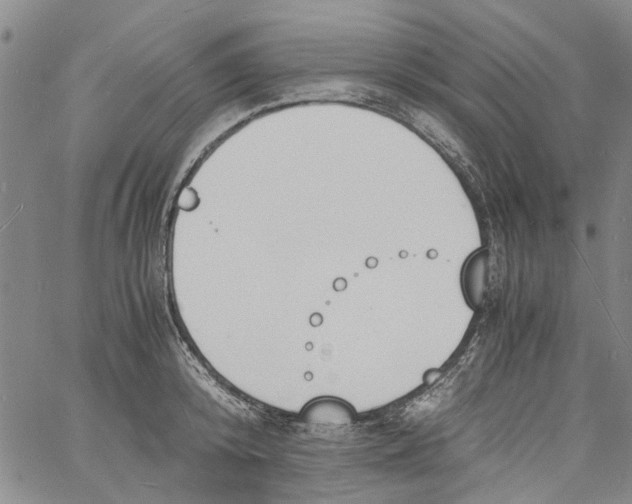 X0000060800800200512082148