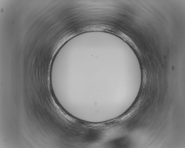 X0000060800802200512082148