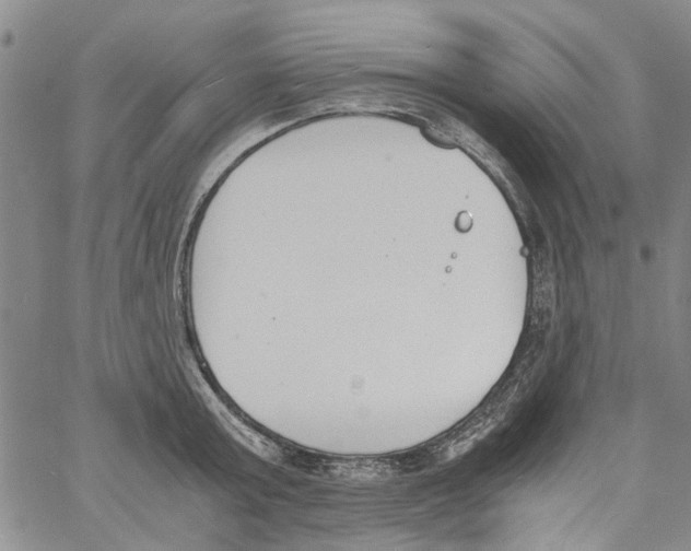 X0000060800803200512082148