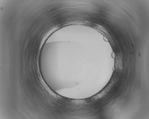 X0000060800804200512082148