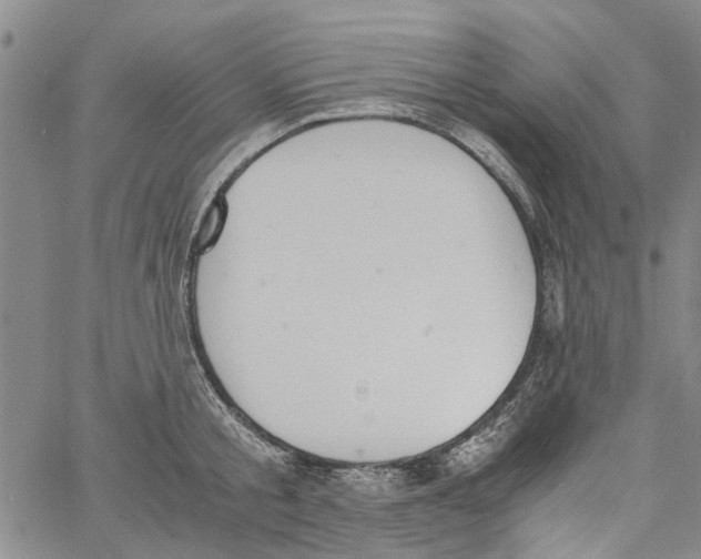 X0000060800805200512082148