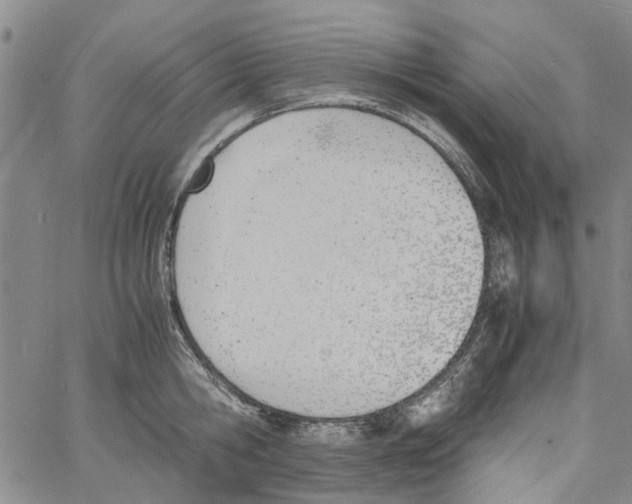 X0000060800806200512082148