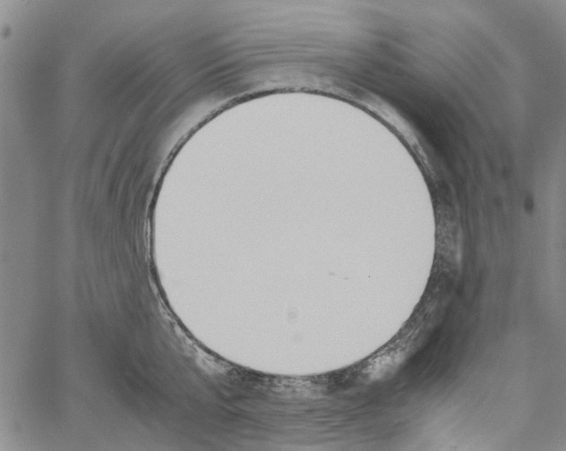 X0000060800807200512082148