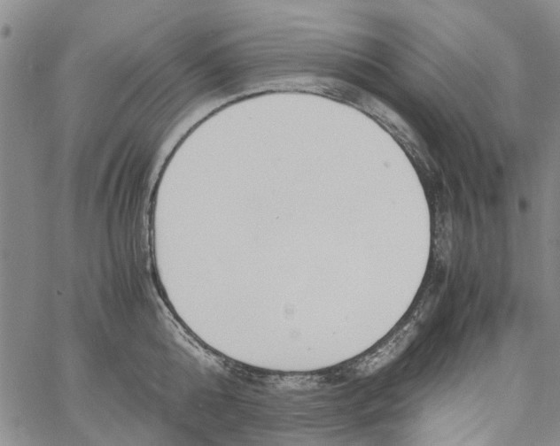 X0000060800808200512082148