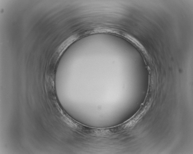 X0000060800809200512082148