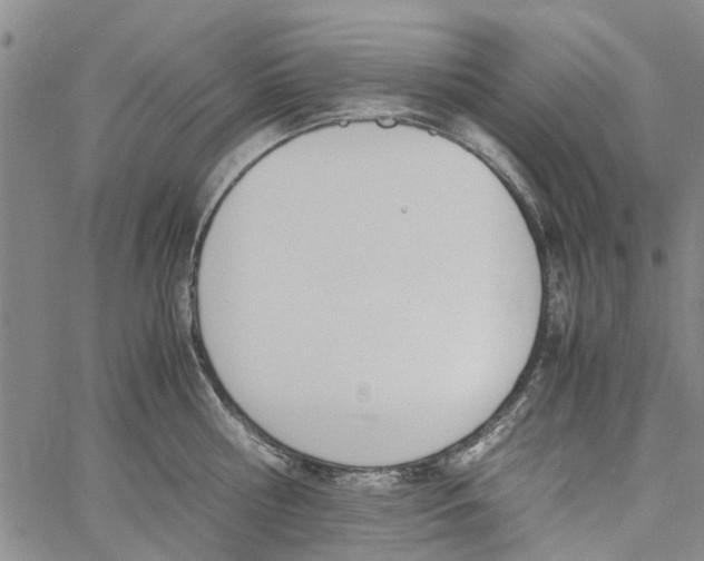 X0000060800810200512082148