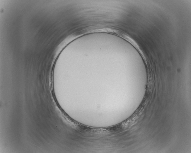 X0000060800811200512082148