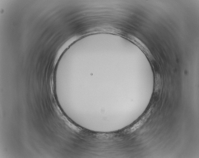 X0000060800812200512082148