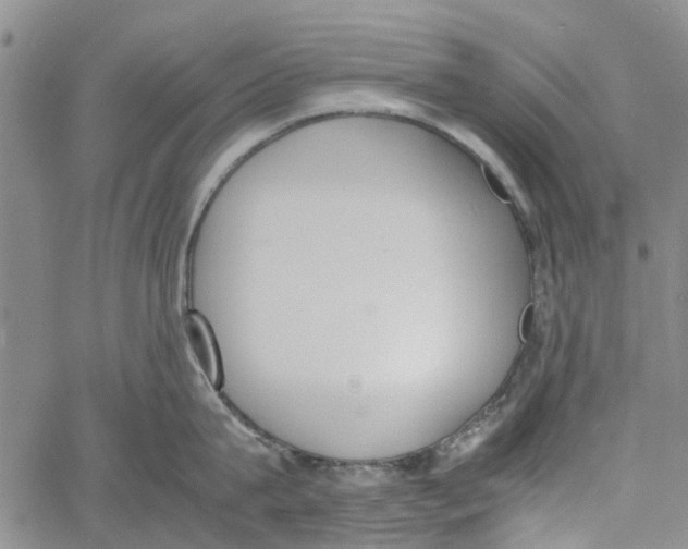 X0000060800815200512082148