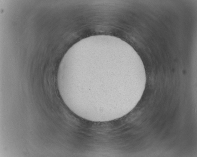 X0000060800817200512082147