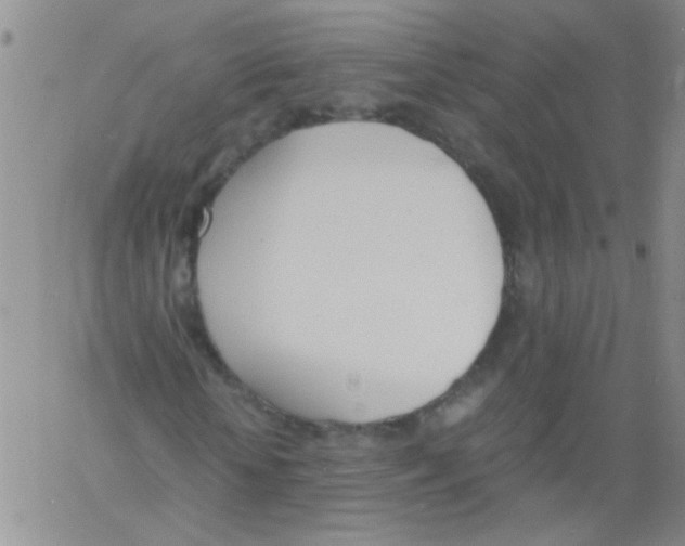 X0000060800818200512082147