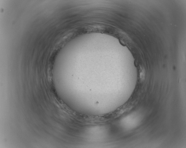 X0000060800819200512082147