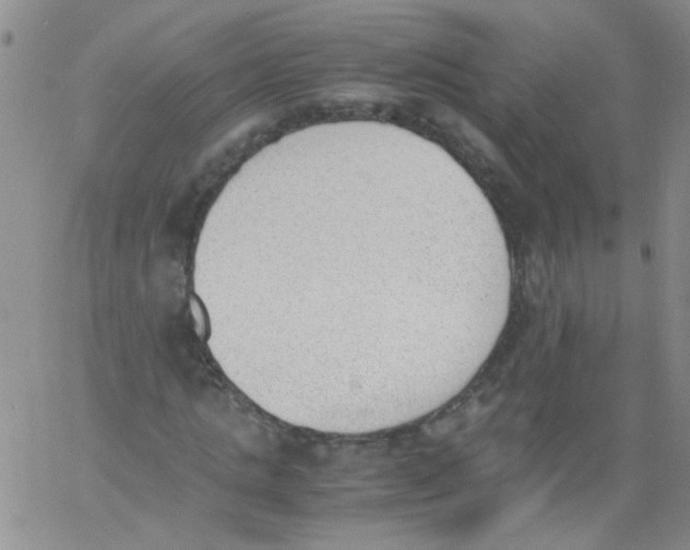 X0000060800821200512082147