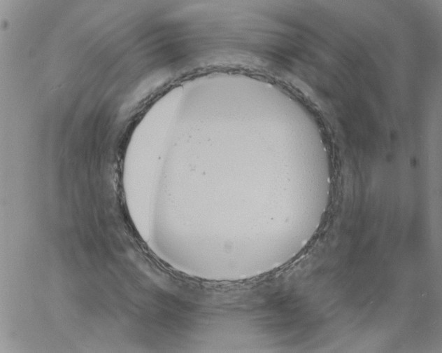 X0000060800824200512082147