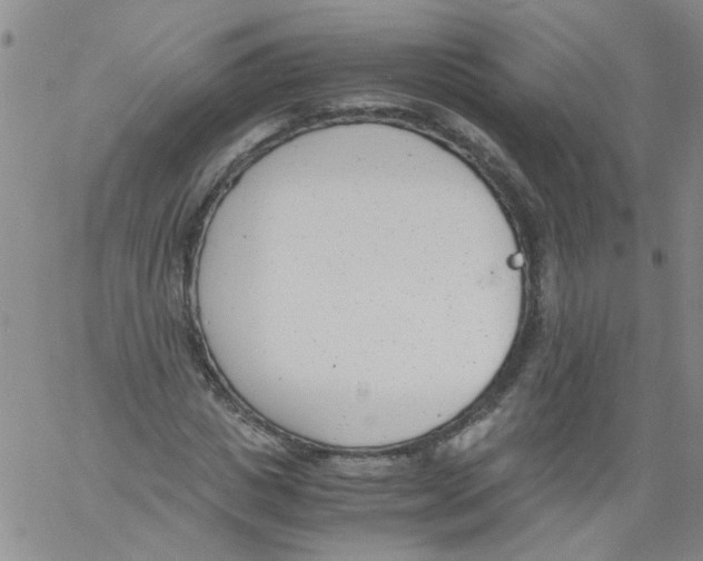 X0000060800825200512082147