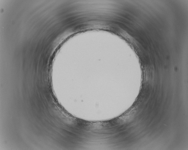 X0000060800828200512082147