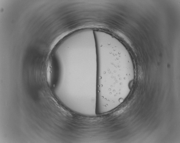 X0000060800829200512082147