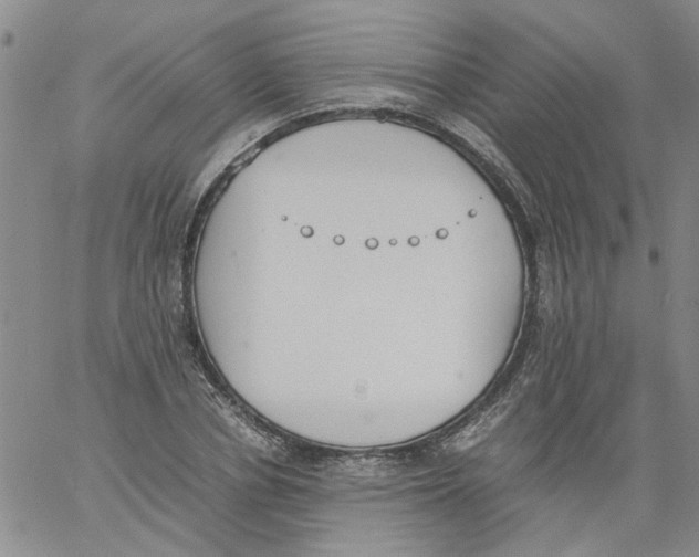 X0000060800834200512082148