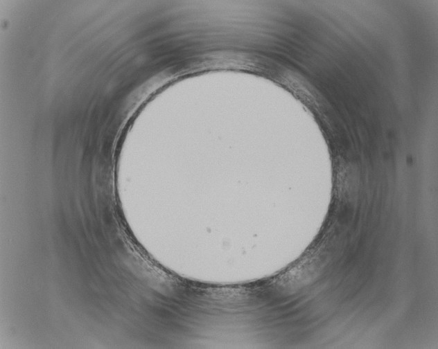 X0000060800836200512082148