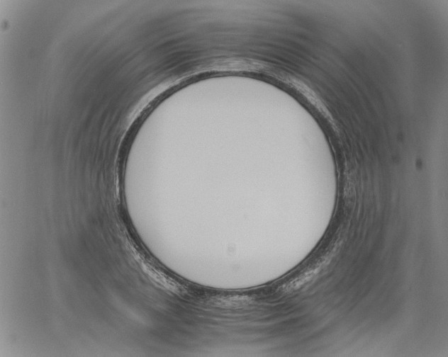 X0000060800837200512082148