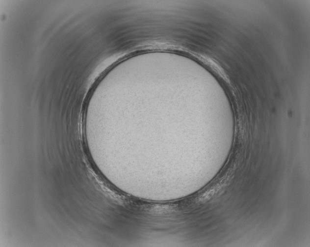 X0000060800839200512082148