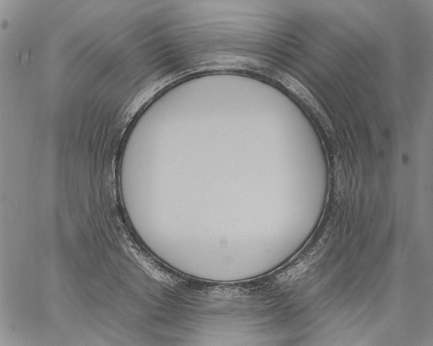 X0000060800842200512082148