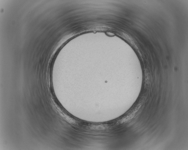 X0000060800843200512082148