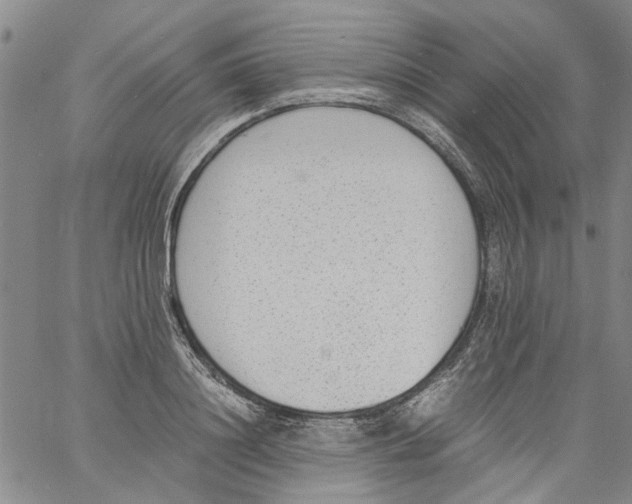 X0000060800844200512082148