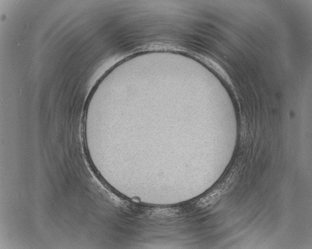 X0000060800847200512082148