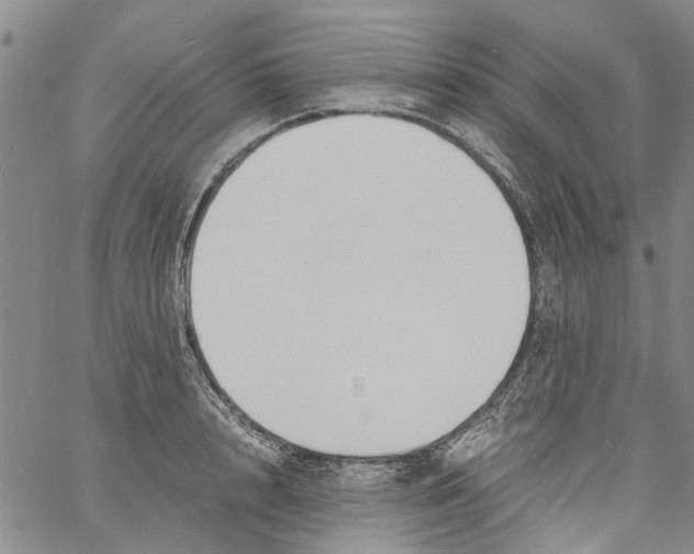 X0000060800848200512082148