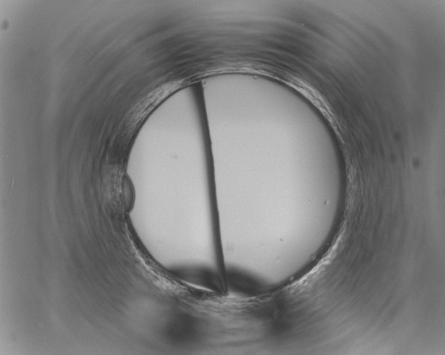 X0000060800849200512082148